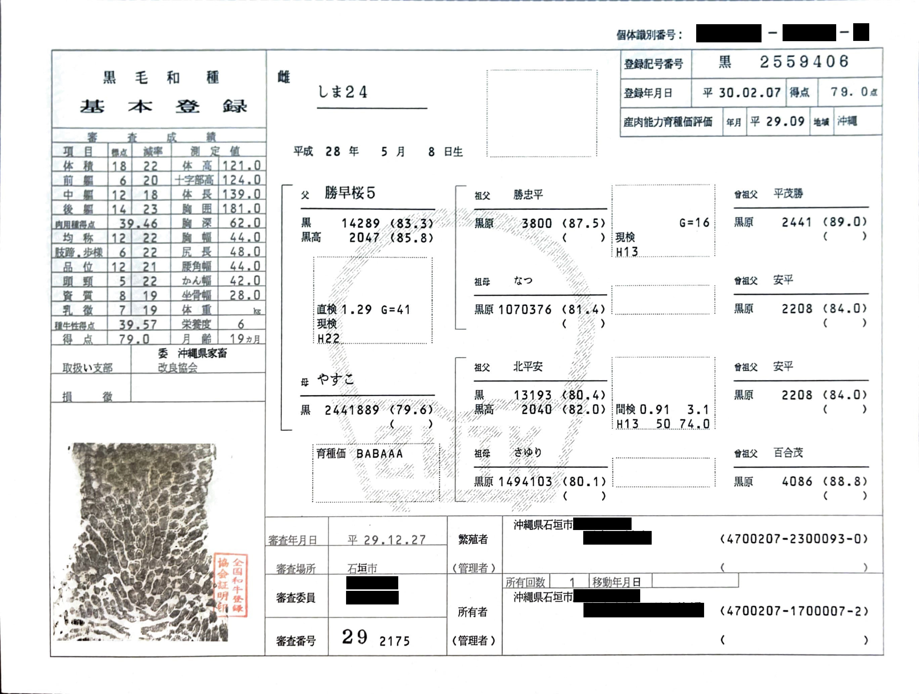 黒毛和種 基本登録サンプル1 - 個体識別番号、登記記号、審査成績などが記載された証明書